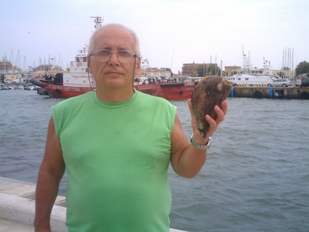 Passeggiata malacologica al Porto di Fiumicino